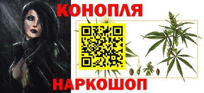 прущие грибы Ижевск