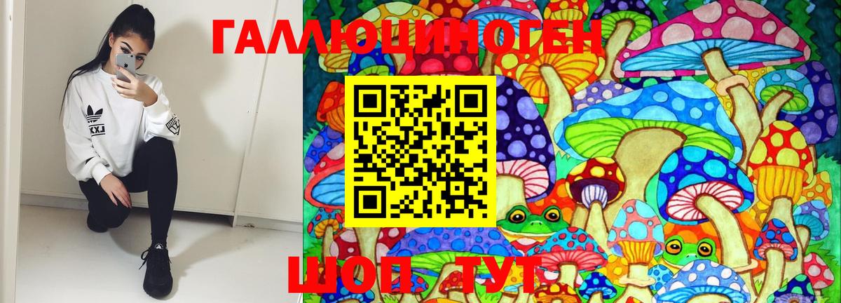 Амурск  цена наркотик  Вход с VPN  Псилоцибиновые грибы MAGIC MUSHROOMS  Псилоцибиновые грибы Psilocybine cubensis 